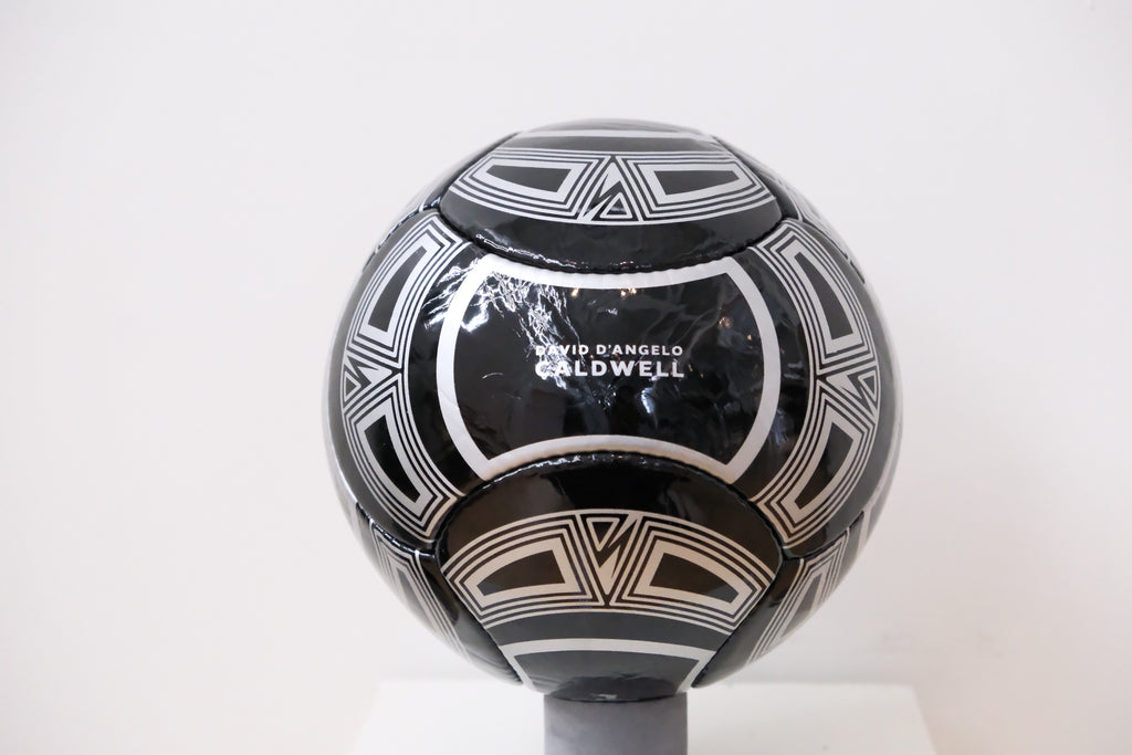 Custom  Logo Soccer Ball - Official League Play